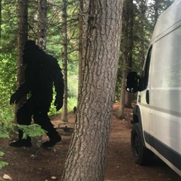 Big Foot Exists! Crystal Van saw him in real life! Caltado, Idaho 
