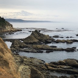 Crystal Vans vistits Cape Arago, Oregon